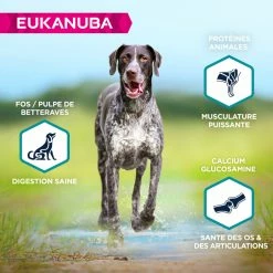 EUKANUBA Gran Free Dog Adult L/XL -winkel voor hondenvoer lm 7260d3180d672e08b4c5312dcdafdf6ef361635499202