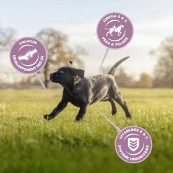 Eukanuba Growing Puppy Large Breed 9 Eukanuba Growing Puppy Large Breed -winkel voor hondenvoer lm 7260d3180d672e08b4c5312dcdafdf6ef361641822617