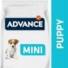 Affinity Advance Advance Mini Puppy Protect Met Kip -winkel voor hondenvoer lm 7295751ec3e9a4feab575962e78e006250d1570711922