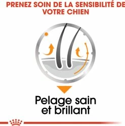 Royal Canin Coat Care Natvoer In Mousse -winkel voor hondenvoer lm 73d2ddea18f00665ce8623e36bd4e3c7c51639064633