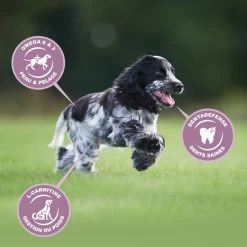 Eukanuba Growing Puppy Medium Breed -winkel voor hondenvoer lm 7478d317bdcf4aafcfc22149d77babee96d1641823122