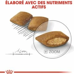 ROYAL CANIN Mini Exigent 14 ROYAL CANIN Mini Exigent -winkel voor hondenvoer lm 750b137fdd1f79d56c7edf3365fea7520f21596448121