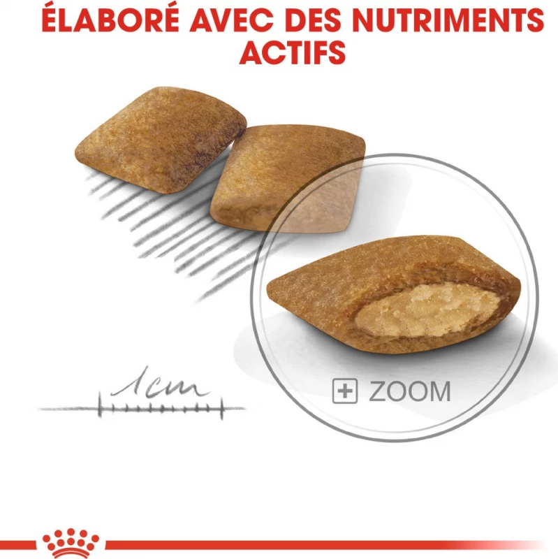 ROYAL CANIN Mini Exigent 7 ROYAL CANIN Mini Exigent - Afbeelding 5