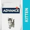 Affinity Advance Advance Baby Protect Kitten Kip & Rijst -winkel voor hondenvoer lm 771b7ee6f5f9aa5cd17ca1aea43ce8484961570714767
