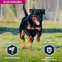 Eukanuba Breed Specific Rottweiler -winkel voor hondenvoer lm 780a8e864d04c95572d1aece099af852d0a1641825590