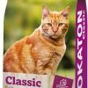 BROKATON Classic Adult Cat -winkel voor hondenvoer lm 78968053af2923e00204c3ca7c6a3150cf71580304019