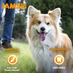 Iams For Vitality -winkel voor hondenvoer lm 78968053af2923e00204c3ca7c6a3150cf71604657118