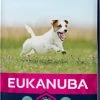 Eukanuba Active Adult Small Breed -winkel voor hondenvoer lm 79d1fe173d08e959397adf34b1d77e88d71529675377