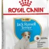 Royal Canin Breed Puppy Jack Russell 1 Royal Canin Breed Puppy Jack Russell -winkel voor hondenvoer lm 806d58072be2820e8682c0a27c0518e805e1575451131