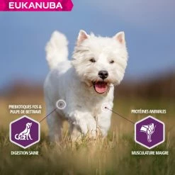 Eukanuba Daily Care Sensitive Skin -winkel voor hondenvoer lm 824677e09724f0e2df9b6c000b75b5da10d1641824070