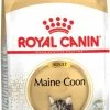 Royal Canin Breed Maine Coon -winkel voor hondenvoer lm 83fe9fc289c3ff0af142b6d3bead98a9231649943285