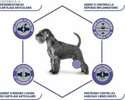 Advance Veterinary Diets Articular Care -winkel voor hondenvoer lm 845b86e8d03fe992d1b0e19656875ee557c1568989217