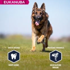 Eukanuba Breed Specific Duitse Herder -winkel voor hondenvoer lm 84684f7e69969dea92a925508f7c1f9579a1641826650