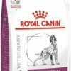 Royal Canin Veterinary Diet Renal Special RSF 13 -winkel voor hondenvoer lm 857847cc55b7032108eee6dd897f3bca8a51615284433