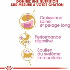 Royal Canin Breed Persian Kitten -winkel voor hondenvoer lm 87022fb0cee7e1f3bde58293de7438714171555685390