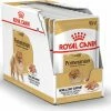Royal Canin Breed Natvoer Voor Volwassen Dwergkees -winkel voor hondenvoer lm 87022fb0cee7e1f3bde58293de7438714171639563892