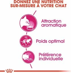 Royal Canin Aroma Exigent -winkel voor hondenvoer lm 87451ef186e18dc00c2d31982567235c5591555681616