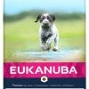 EUKANUBA Grain Free Puppy L/XL -winkel voor hondenvoer lm 8850efe32849d230d7f53049ddc4a4b0c601635501838
