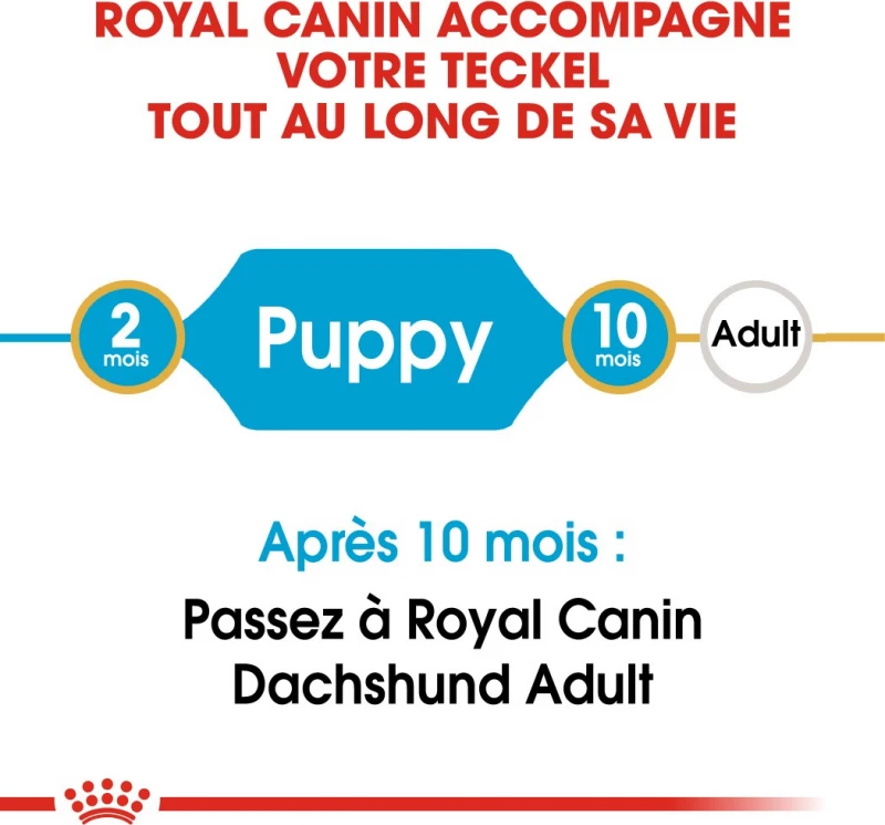 Royal Canin Breed Teckel Junior 6 Royal Canin Breed Teckel Junior - Afbeelding 4