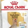 Royal Canin Yorkshire Terrier Adult 8+ -winkel voor hondenvoer lm 89901882513d5fa7c329e940dda99b121471592574827