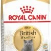 Royal Canin Breed British Shorthair Adult -winkel voor hondenvoer lm 89901882513d5fa7c329e940dda99b121471663658276