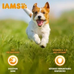 Iams For Vitality -winkel voor hondenvoer lm 901892c91e0a653ba19df81a90f89d99bcd1604657066