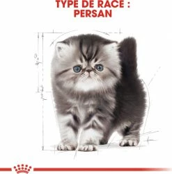 Royal Canin Breed Persian Kitten -winkel voor hondenvoer lm 904f47d0ad31c4c49061b9e505593e3db981555685397