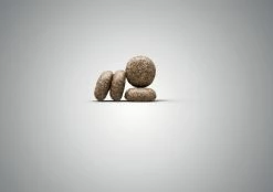 JOSERA Mini Deluxe Grain Free -winkel voor hondenvoer lm 909a4300b002bcfb71f291dac175d52df941631107579