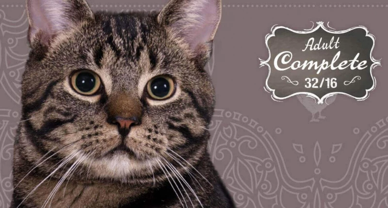 Leonardo Adult Complete 32/16 Met Gevogelte Voor Niet-actieve, Volwassen Katten 4 Leonardo Adult Complete 32/16 Met Gevogelte Voor Niet-actieve, Volwassen Katten - Afbeelding 2