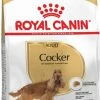 Royal Canin Breed Cocker Adult -winkel voor hondenvoer lm 922ccc0aa1b81bf81e16c676ddb977c58811581344252