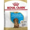 Royal Canin Breed Teckel Junior 2 Royal Canin Breed Teckel Junior -winkel voor hondenvoer lm 924bea5955b308361a1b07bc55042e25e541598437217