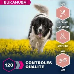 Eukanuba Senior Large, Lamb & Rice -winkel voor hondenvoer lm 926cbb6a3b884f4f88b3a8e3d44c636cbd81608307243