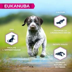 EUKANUBA Grain Free Puppy L/XL -winkel voor hondenvoer lm 9393df1d4b96d8976ff5986393e8767f5b21635501946
