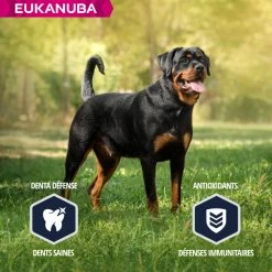 Eukanuba Breed Specific Rottweiler -winkel voor hondenvoer lm 942b55ec28c52d5f6205684a473a21935641641825645