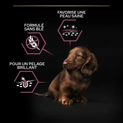 PRO PLAN Small & Mini Puppy Sensitive Skin -winkel voor hondenvoer lm 945c48cce2e2d7fbdea1afc51c7c6ad261687271021