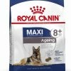 Royal Canin Maxi Adult Ageing 8 Jaar En Ouder