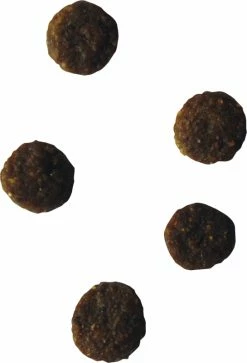 BF PETFOOD - BIOFOOD Sensitive Graanvrij Kattenvoer -winkel voor hondenvoer lm 950a3d68b461bd9d3533ee1dd3ce4628ed41653482836