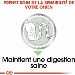 Royal Canin Digestive Care Mousse -winkel voor hondenvoer lm 955ef4e3b775c934dada217712d76f3d51f1592832881