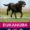 Eukanuba Mature & Senior Large & Giant Breed -winkel voor hondenvoer lm 956168908dd3227b8358eababa07fcaf0911578392574