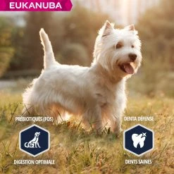 Eukanuba Breed Specific West Highland White Terrier -winkel voor hondenvoer lm 956168908dd3227b8358eababa07fcaf0911641826007