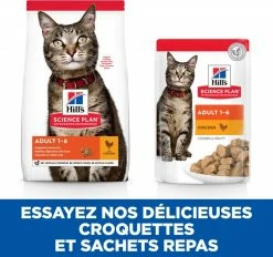 HILL'S Science Plan Cat Adult, Met Kip -winkel voor hondenvoer lm 9631ce927f875864094e3906a4a0b5ece681643211718