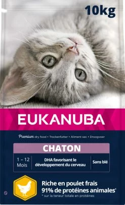 Eukanuba Kitten Healthy Start