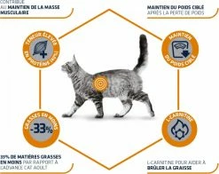 Advance Veterinary Diets Weight Balance Voor Katten Met Overgewicht -winkel voor hondenvoer lm 97592977ae4d2ba21425a59afb269c2a14e1568300380