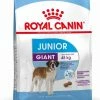 Royal Canin Giant Junior -winkel voor hondenvoer lm 97592977ae4d2ba21425a59afb269c2a14e1581341936