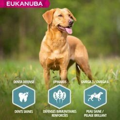 Eukanuba Dog Adult Small & Medium, Zalm & Gerst -winkel voor hondenvoer lm 991692f93be8c7a41525c0baf2076aecfb41608306031