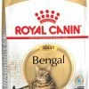 Royal Canin Breed Bengal -winkel voor hondenvoer lm 99ac627ab1ccbdb62ec96e702f07f6425b1556007853