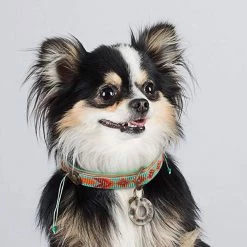 Dog With A Mission Halsband Paddy Lee -winkel voor hondenvoer paddylee 2cm halsband2