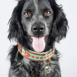 Dog With A Mission Halsband Paddy Lee -winkel voor hondenvoer paddylee 4cm halsband2