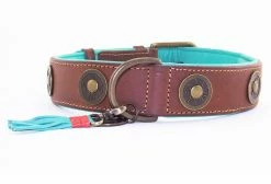 Dog With A Mission Halsband Urban -winkel voor hondenvoer urban 4cm halsband